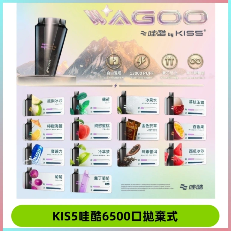 KIS5WAGOO哇酷6500口拋棄式 | 自由混搭雙口味 | 雙芯組合