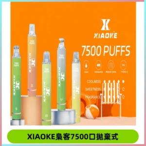 XIAOKE梟客7500Puffs跑馬燈拋棄式電子煙 可發光一次性